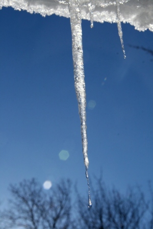 OK, we could have icicles until May.